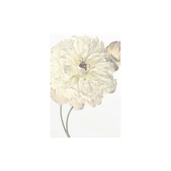 Wandbild Illustration Dahlia 50x70 cm ^ Komar