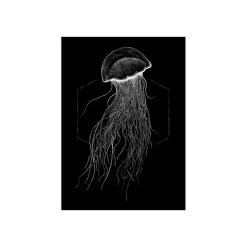 Wandbild Jellyfish Black 50x70 cm ^ Komar Sale