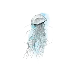 Wandbild Jellyfish Watercolor 50x70 cm ^ Komar New
