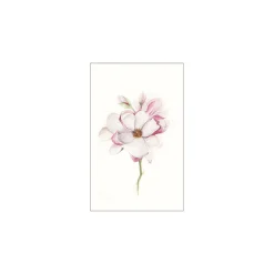 Wandbild Magnolia Blossom 40x50 cm ^ Komar Clearance