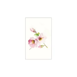 Wandbild Magnolia Breathe 40x50 cm ^ Komar Online