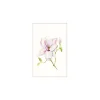 Wandbild Magnolia Shine 40x50 cm ^ Komar New