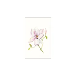Wandbild Magnolia Shine 40x50 cm ^ Komar New