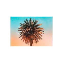 Wandbild Palm Tree 50x40 cm ^ Komar Sale
