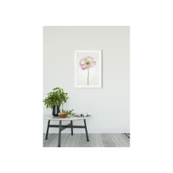 Wandbild Poppy 50x70 cm ^ Komar New
