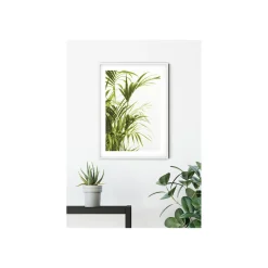 Wandbild Reed Leaves- 50x70 cm ^ Komar Sale