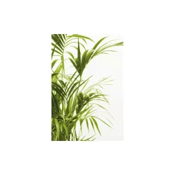 Wandbild Reed Leaves- 50x70 cm ^ Komar Sale