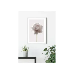 Wandbild Rose 50x70 cm ^ Komar Discount
