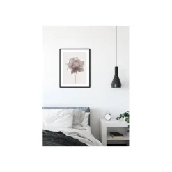 Wandbild Rose 50x70 cm ^ Komar Discount