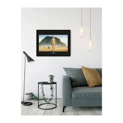 Wandbild Star Wars Classic Droids 50x40 cm ^ Komar Sale