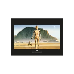 Wandbild Star Wars Classic Droids 50x40 cm ^ Komar Sale