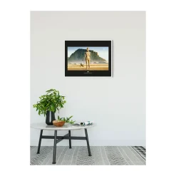 Wandbild Star Wars Classic Droids 50x40 cm ^ Komar Sale
