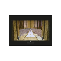 Wandbild Star Wars Classic Ceremony 50x40 cm ^ Komar Clearance