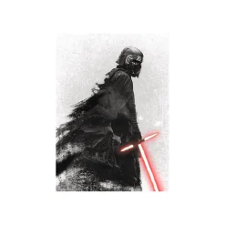 Wandbild Star Wars EP9 Kylo Vader Shadow 40x50 cm ^ Komar