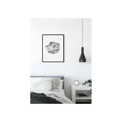 Wandbild Succulent Aeonium 50x70 cm ^ Komar Sale