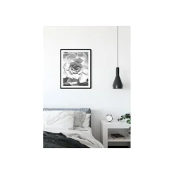 Wandbild Succulent Closeup 50x70 cm ^ Komar Sale