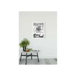 Wandbild Succulent Closeup 50x70 cm ^ Komar Sale