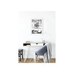 Wandbild Succulent Closeup 40x50 cm ^ Komar New