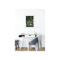 Wandbild Succulent Single 50x70 cm ^ Komar Discount