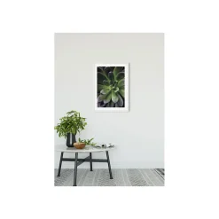 Wandbild Succulent Single 40x50 cm ^ Komar Online