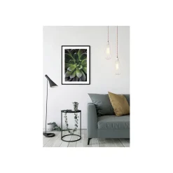 Wandbild Succulent Single 40x50 cm ^ Komar Online