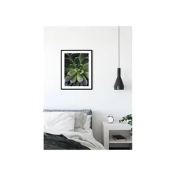 Wandbild Succulent Single 40x50 cm ^ Komar Online