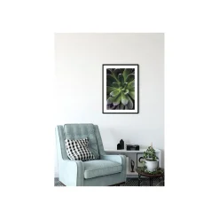 Wandbild Succulent Single 40x50 cm ^ Komar Online