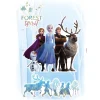 Wandtattoo Frozen 2 Forest Spirit 50x70 cm ^ Komar Hot