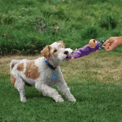 KONG Hundespielzeug Tugger Knots Affe lila 36 cm ^ Clearance