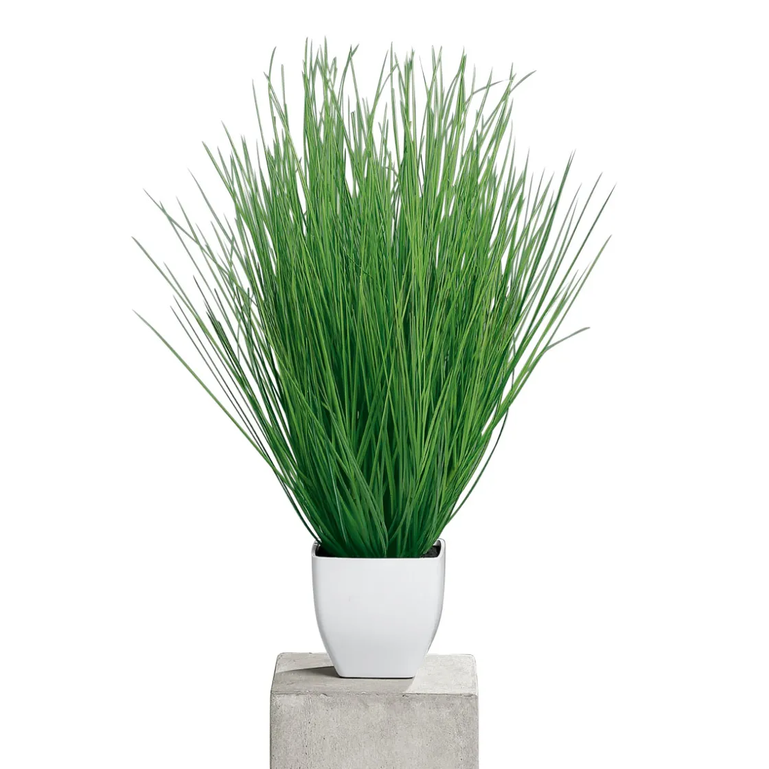 Kunstgras im Kunststofftopf weiß 55 cm ^ Clearance