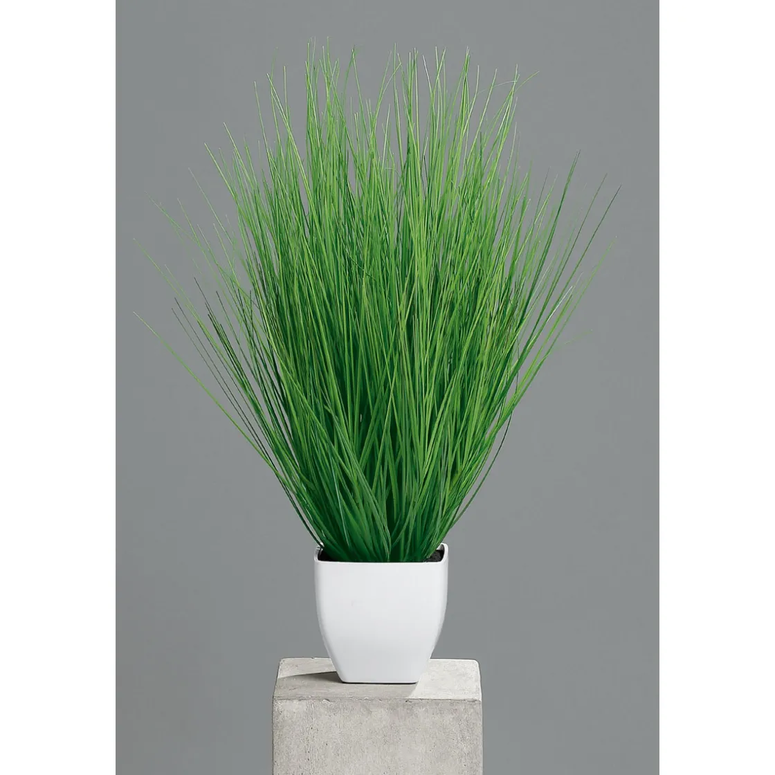 Kunstgras im Kunststofftopf weiß 55 cm ^ Clearance