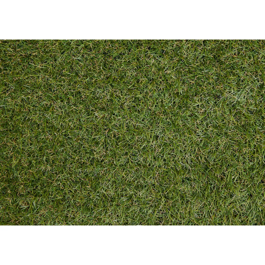 Kunstrasen Chill cm gruen ^ Clearance