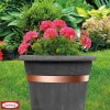 Kupfer-Schneckenband selbstklebend 500 x 3 cm ^ New