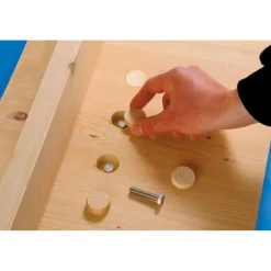 Konusplättchen Durchmesser 30 mm 10 Stück ^ kwb Outlet