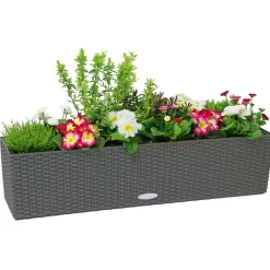 LECHUZA Blumenkasten Balconera Cottage 50 granit ^ Hot