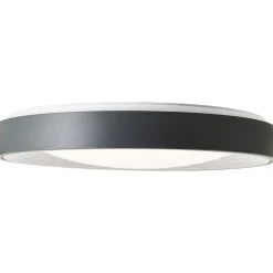 LED-Deckenleuchte Florella 48,5 x 8,5 cm inkl RGB-Funktion ^ Brilliant Outlet