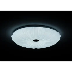 LED-Deckenleuchte Shining Coral 24W ^ Clearance