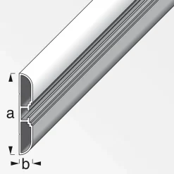 Schiene Coaxis 1m breit ^ MyTool