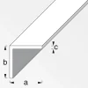 Winkel 20 x 20 x 1,5 mm 2m silber ^ MyTool Discount