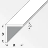 Winkel 10 x 10 x 1 mm 2m weiß ^ MyTool Best