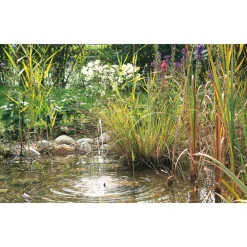PontecPondoSolar-Wasserspiel Solar 150 ^ Oase Discount