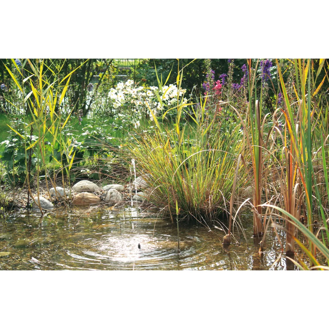 PontecPondoSolar-Wasserspiel Solar 150 ^ Oase Discount