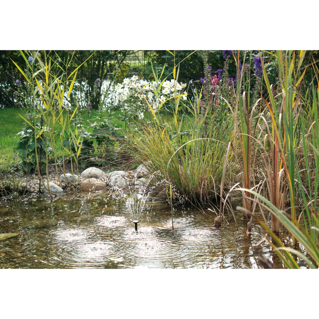 PontecPondoSolar-Wasserspiel Solar 150 ^ Oase Discount