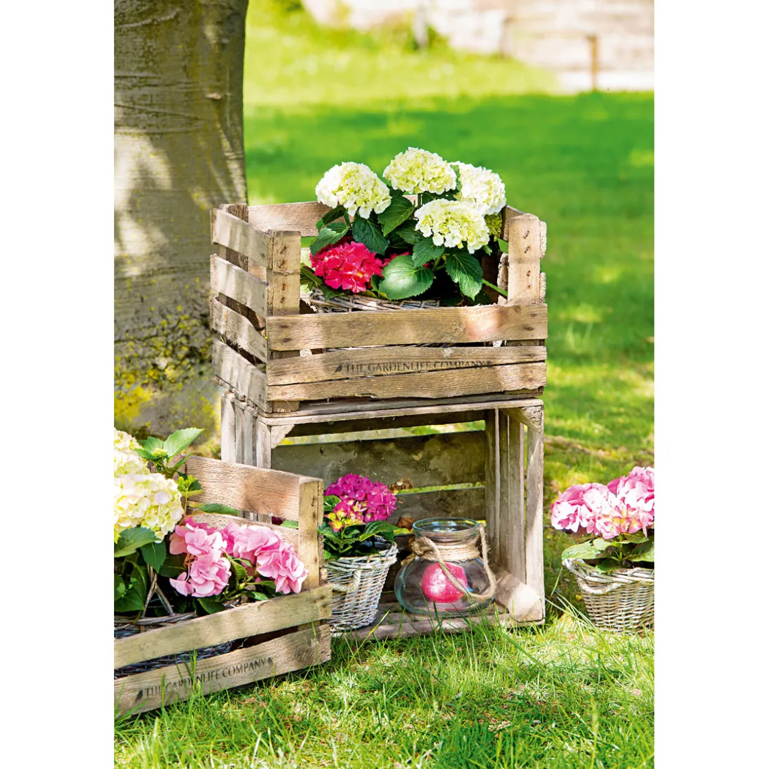Obstkiste gebraucht 50 x 40 x 30 cm ^ Clearance