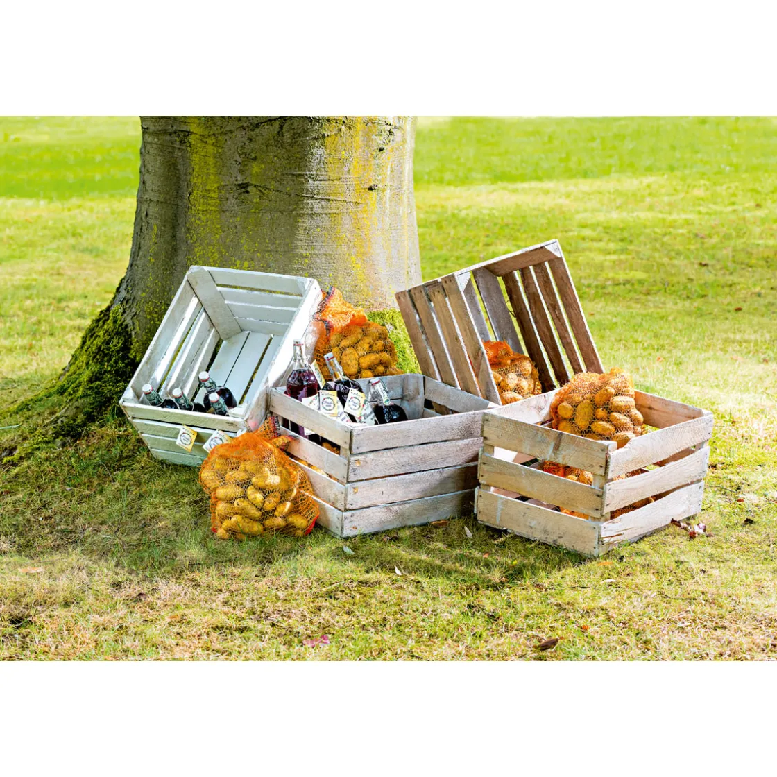 Obstkiste gebraucht 50 x 40 x 30 cm ^ Clearance