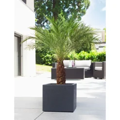 Outdoor-Pflanzgefaess Ccube 240/30 ^ Scheurich Clearance