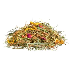 Panto Premiumheu Blütenwiese 750 g ^ Hot