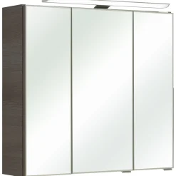LED-Spiegelschrank Trentino inkl Leuchtmittel grau 75 x 70 x 20 cm ^ Pelipal Online
