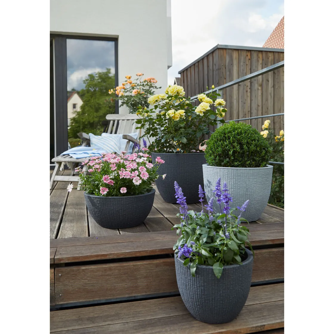 Pflanzgefaess 47/295 Barceo ^ Scheurich Hot