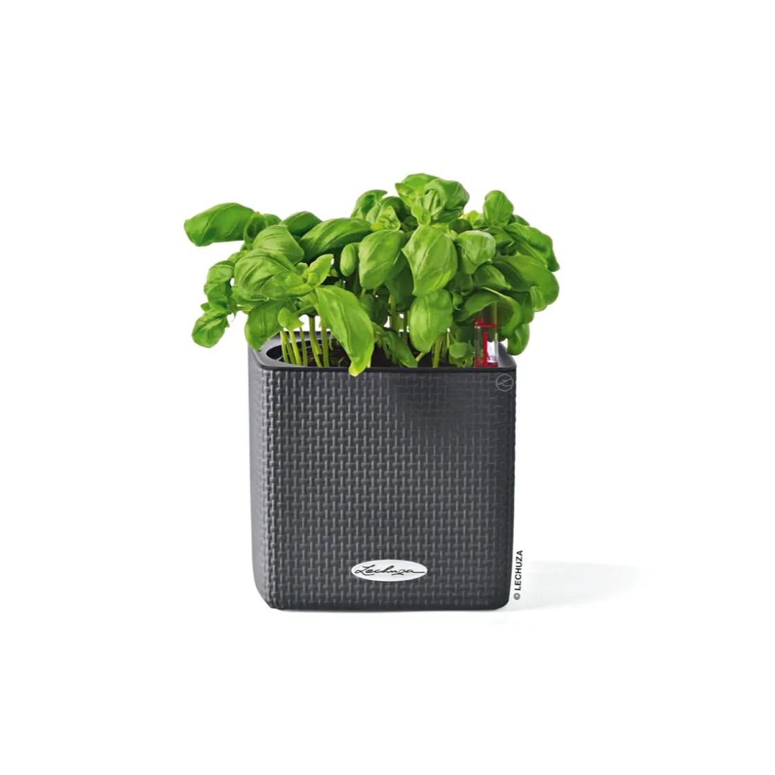 Pflanzkübel Cube Color Komplettset 14 cm schiefergrau ^ Sale